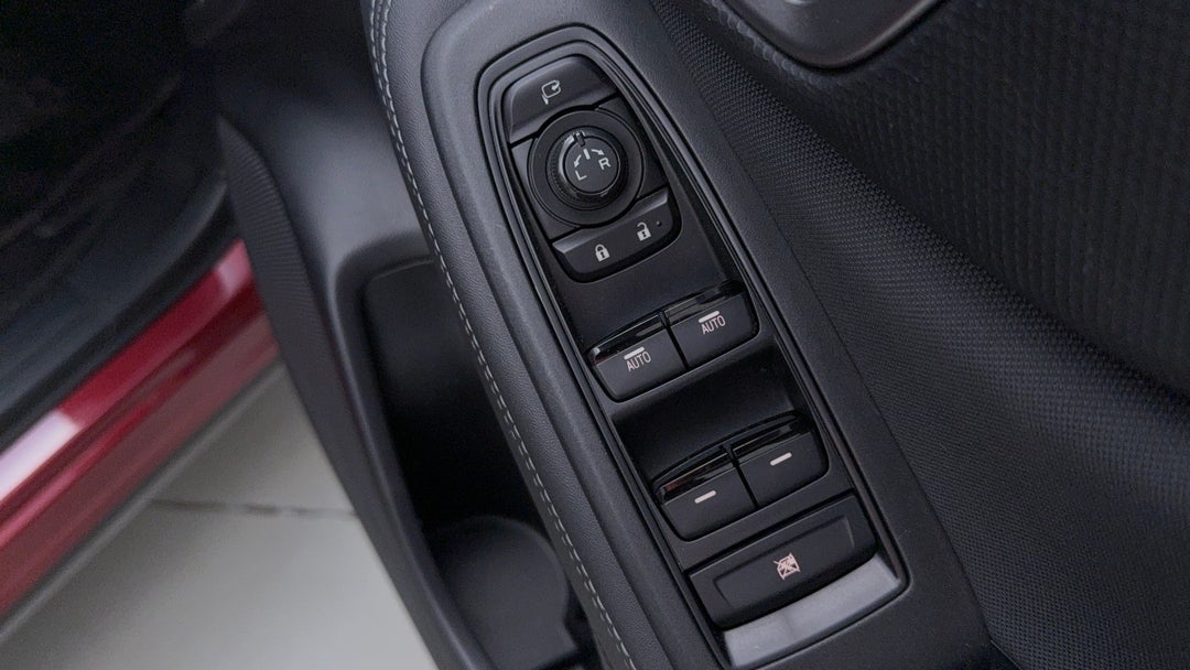 Drivers Side Door Panel Controls
