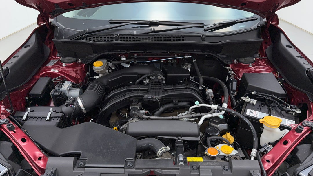 Open Bonnet (Engine)