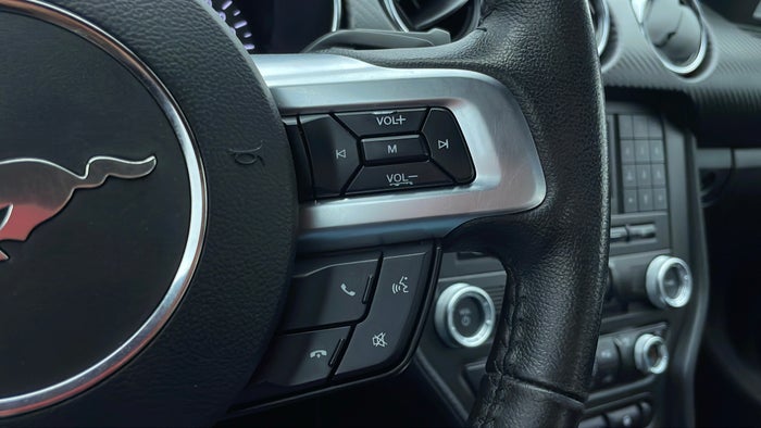 FORD MUSTANG-Drivers Control