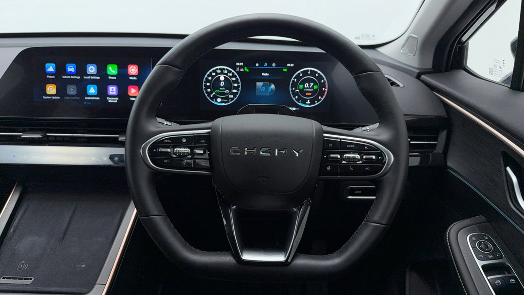 Steering Wheel Close-up