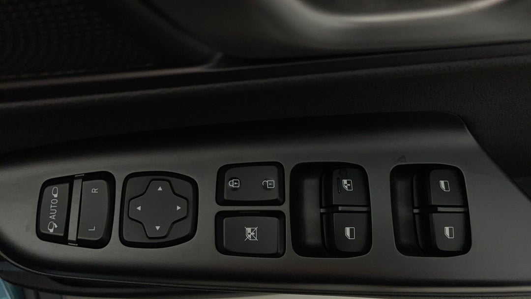 Drivers Side Door Panel Controls