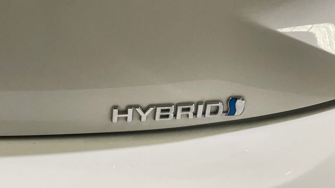 Badge (Boot Right Side)