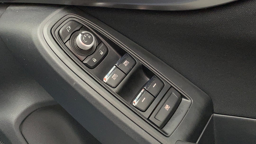 Drivers Side Door Panel Controls