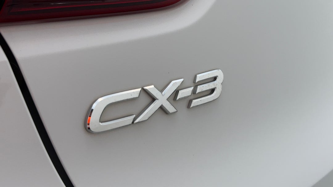 Badge (Boot Left Side)