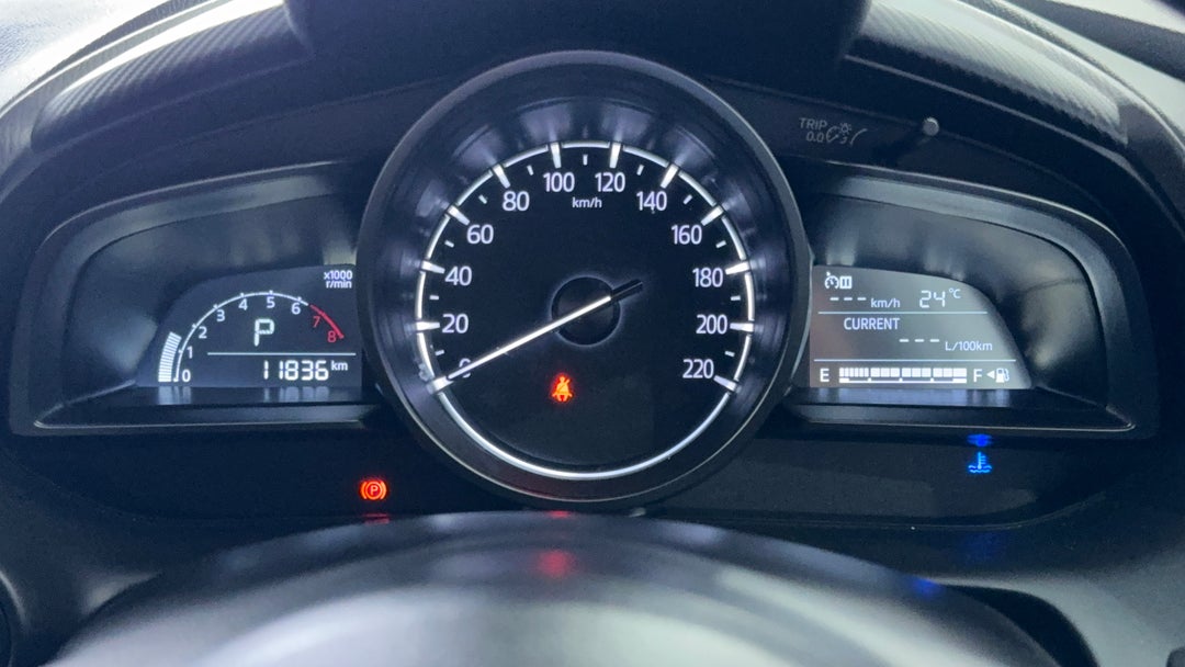 Odometer View
