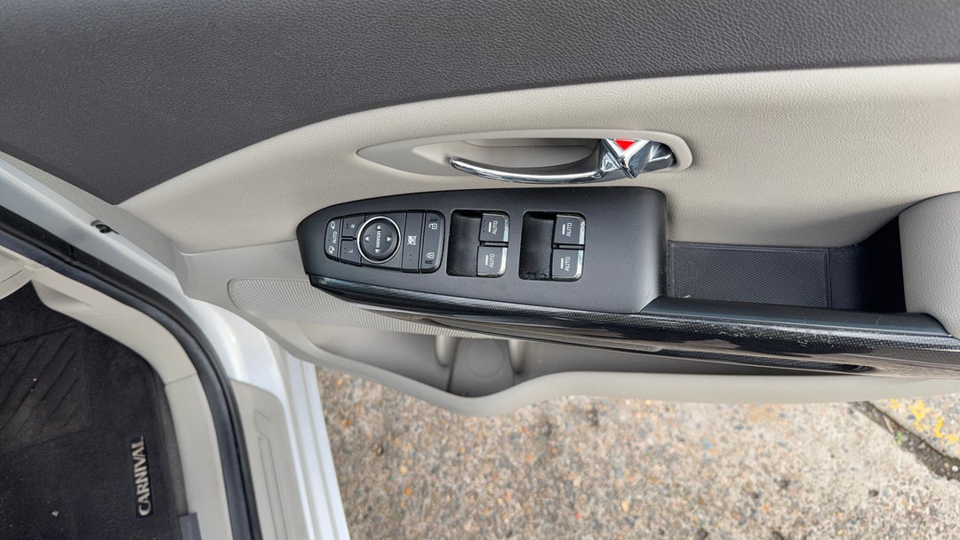 Drivers Side Door Panel Controls