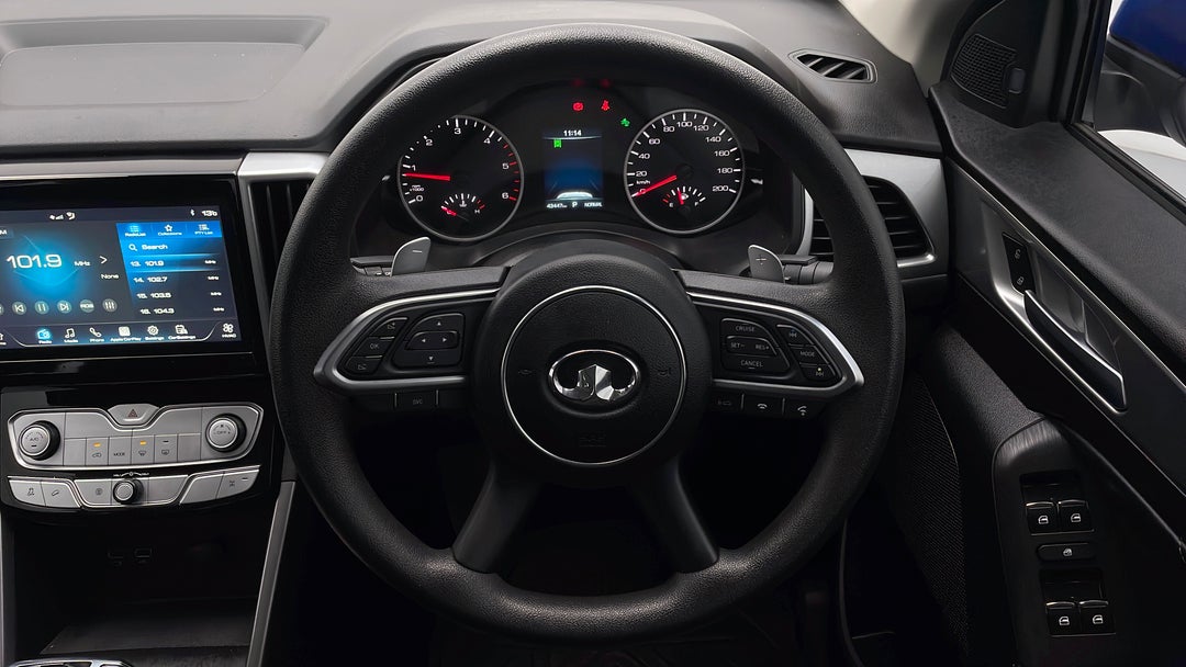 Steering Wheel Close-up