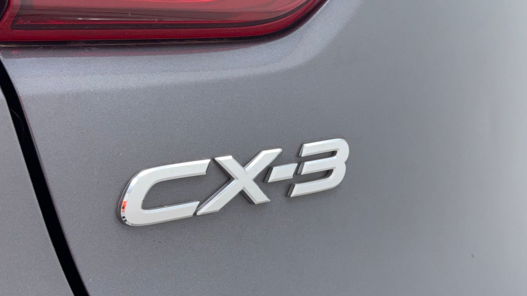 Badge (Boot Left Side)