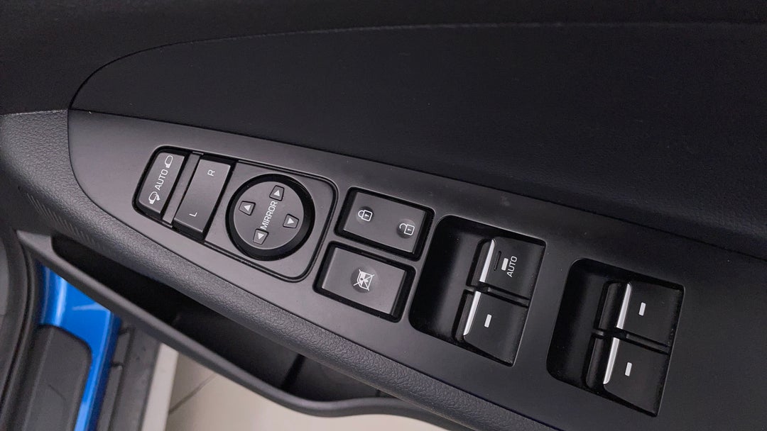 Drivers Side Door Panel Controls