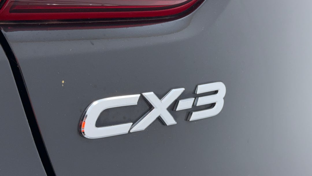 Badge (Boot Left Side)