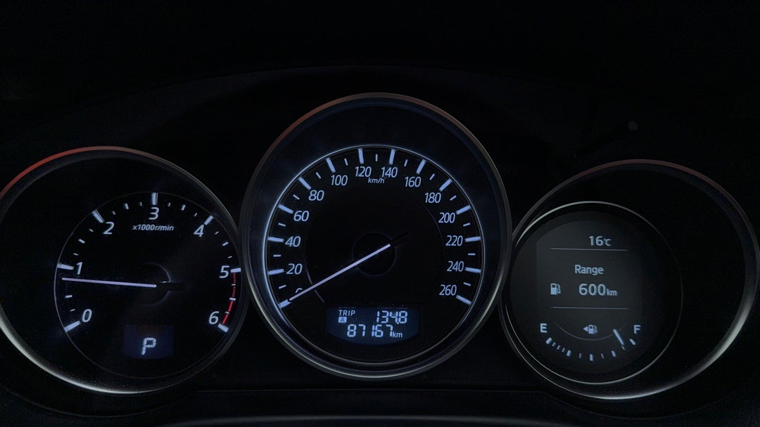 Odometer View