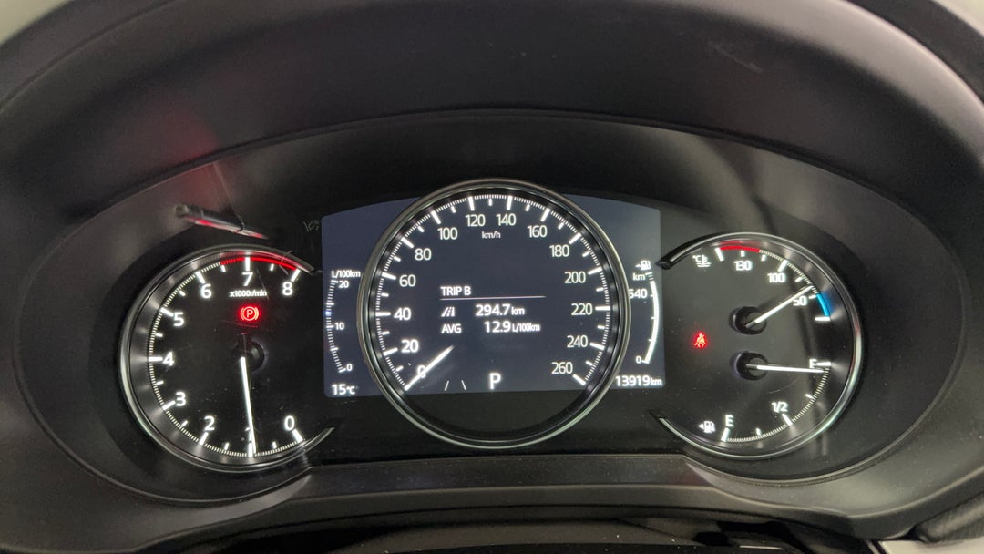 Odometer View