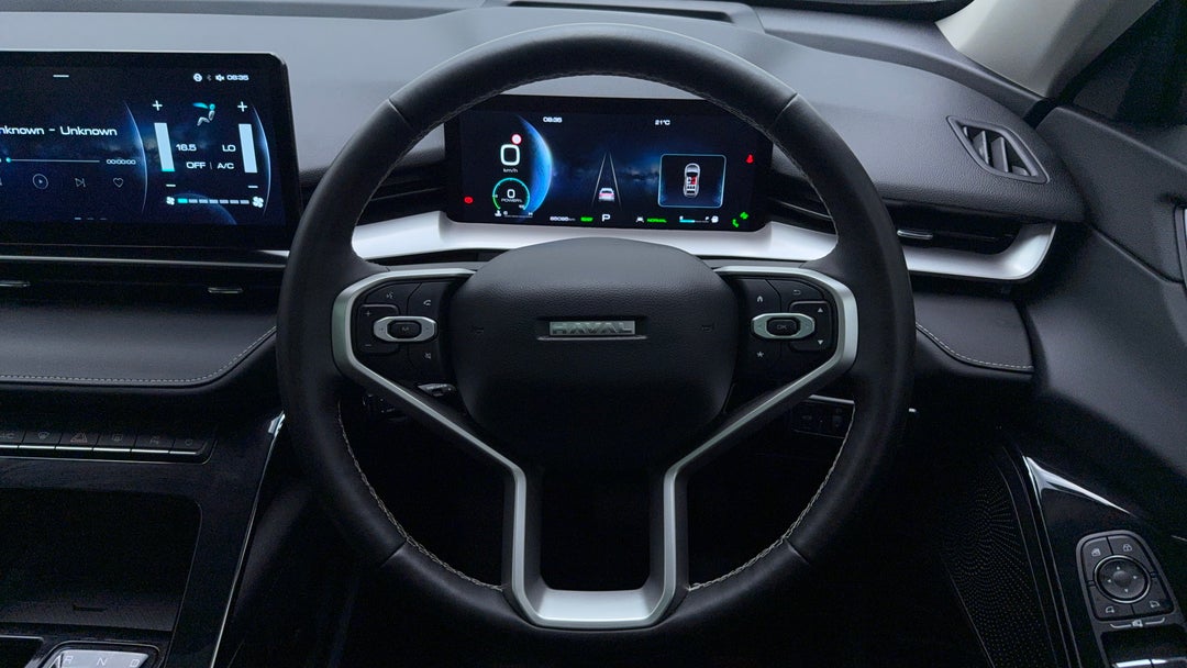 Steering Wheel Close-up