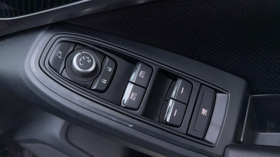 Drivers Side Door Panel Controls