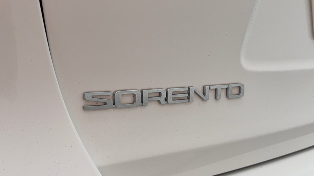 Badge (Boot Left Side)