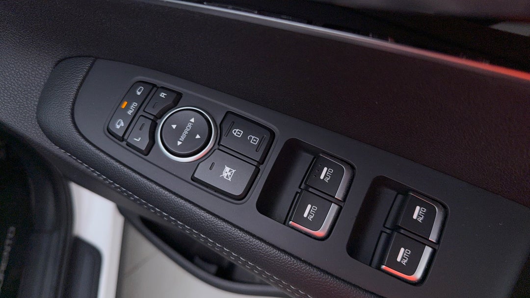 Drivers Side Door Panel Controls