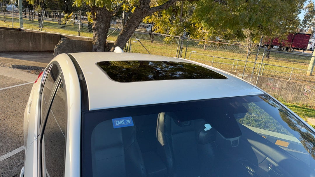 Roof/Sunroof View
