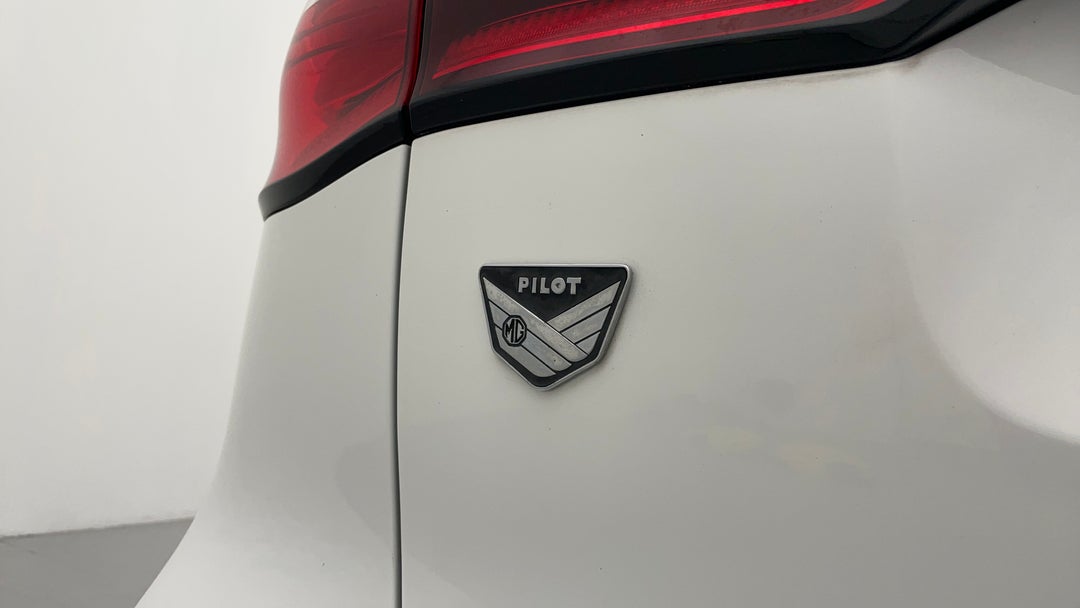 Badge (Boot Left Side)