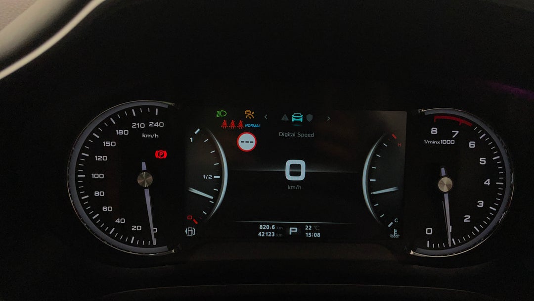 Odometer View