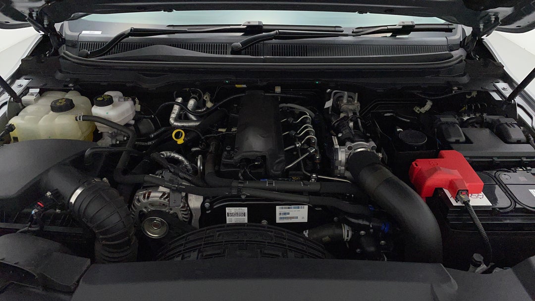 Open Bonnet (Engine)