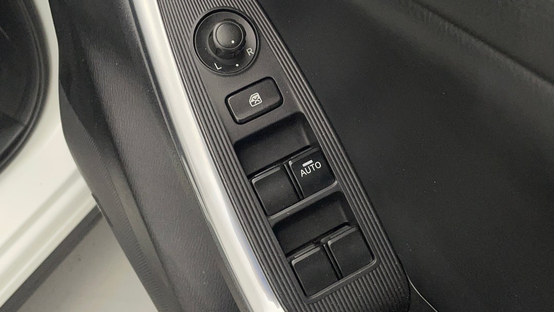 Drivers Side Door Panel Controls
