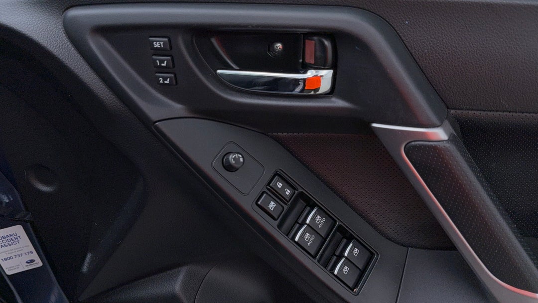 Drivers Side Door Panel Controls