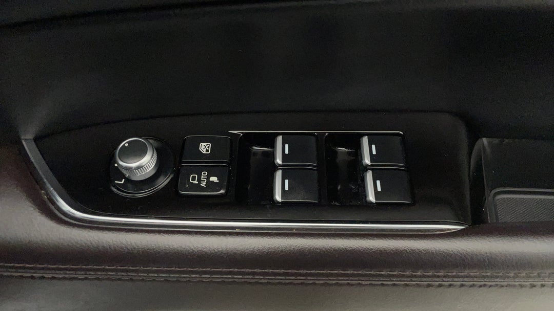 Drivers Side Door Panel Controls