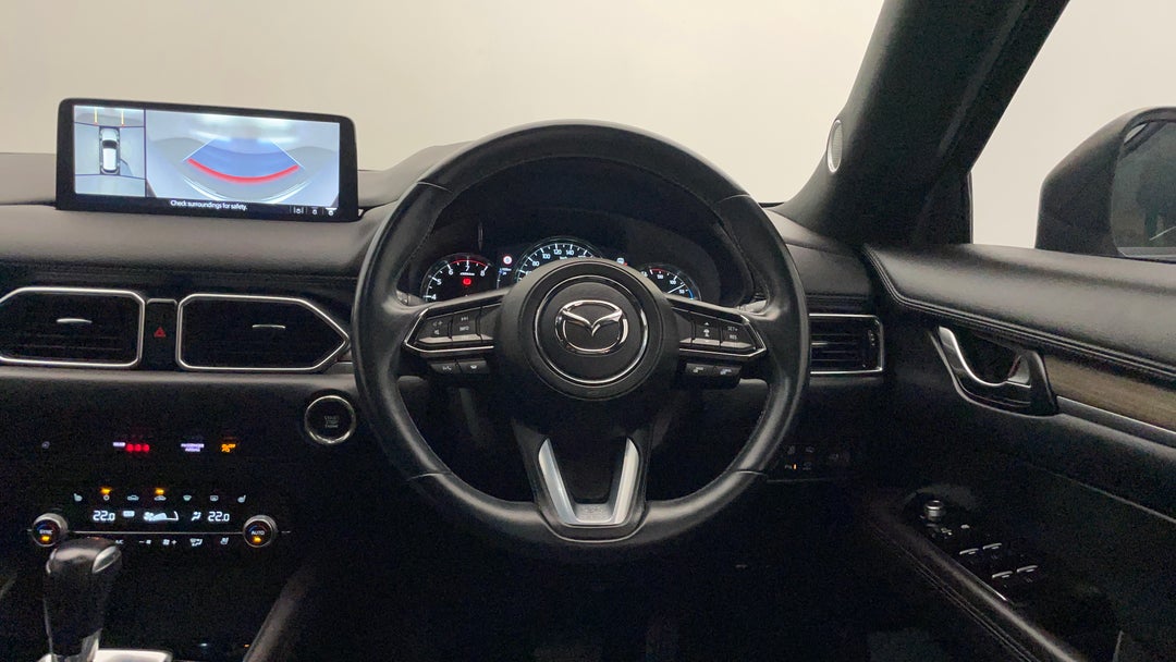 Steering Wheel Close-up