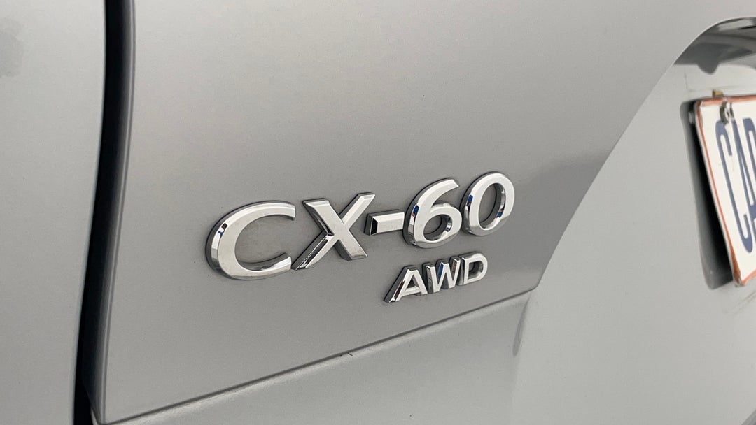 Badge (Boot Left Side)