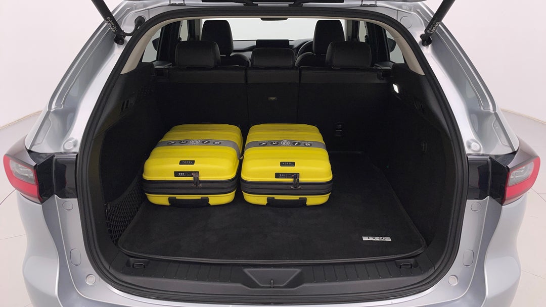 Boot Inside View with Luggage