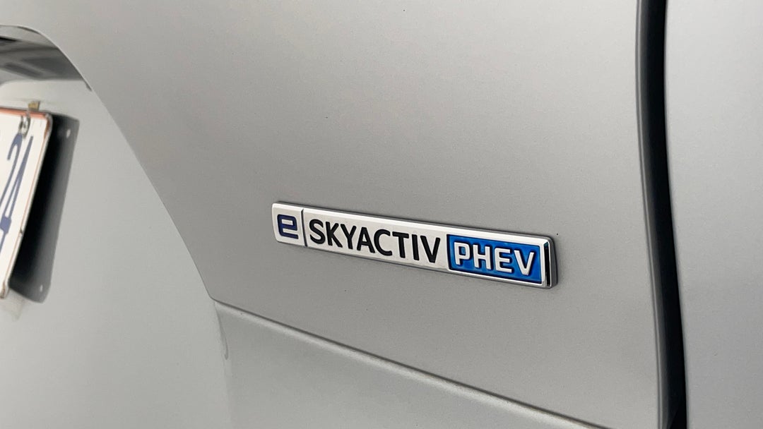 Badge (Boot Right Side)