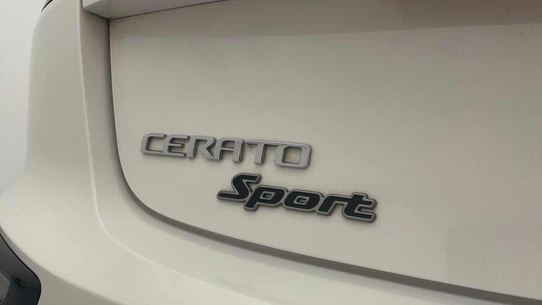 Badge (Boot Left Side)