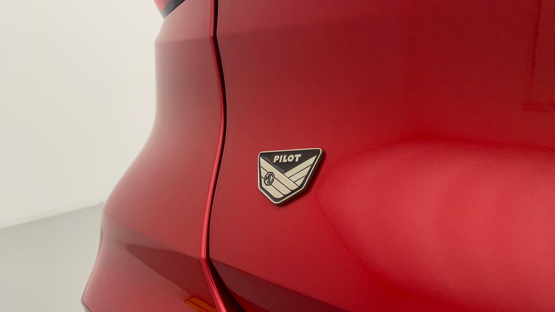 Badge (Boot Left Side)