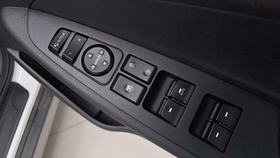 Drivers Side Door Panel Controls