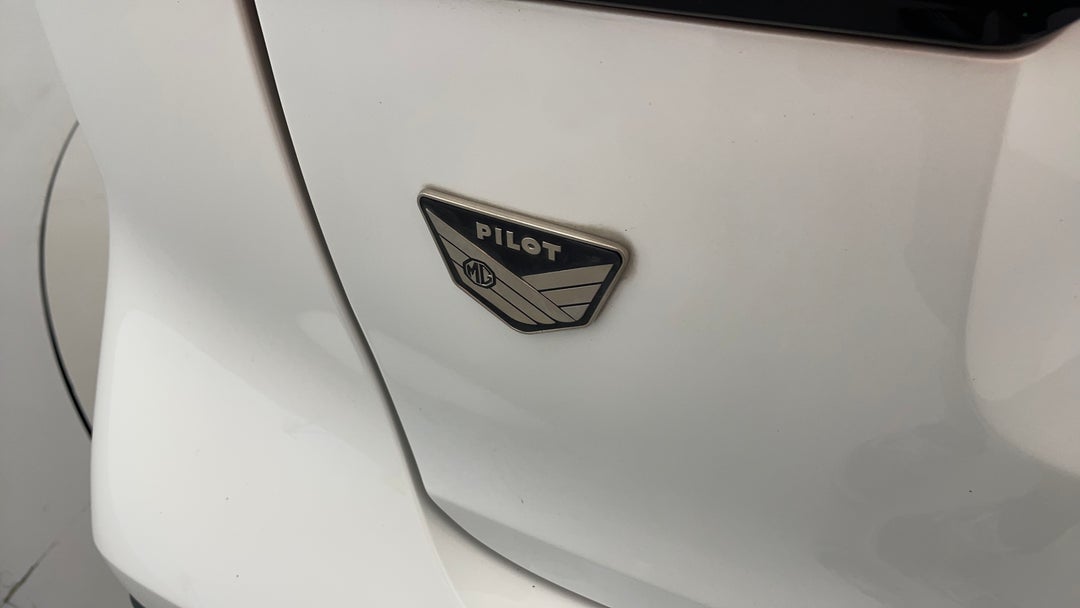 Badge (Boot Left Side)