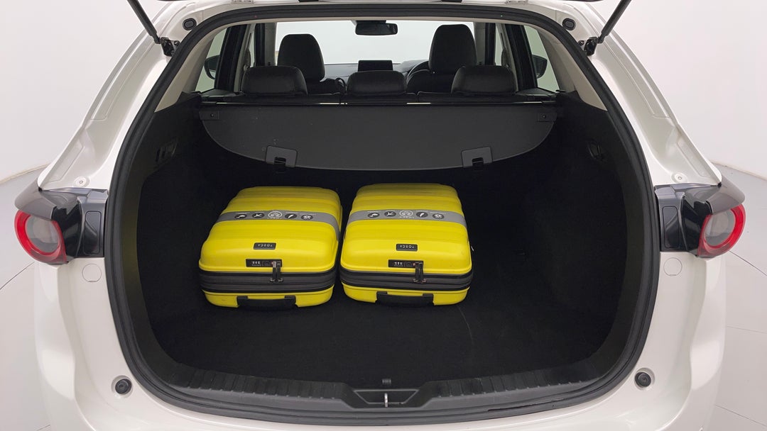 Boot Inside View with Luggage