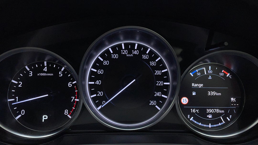 Odometer View