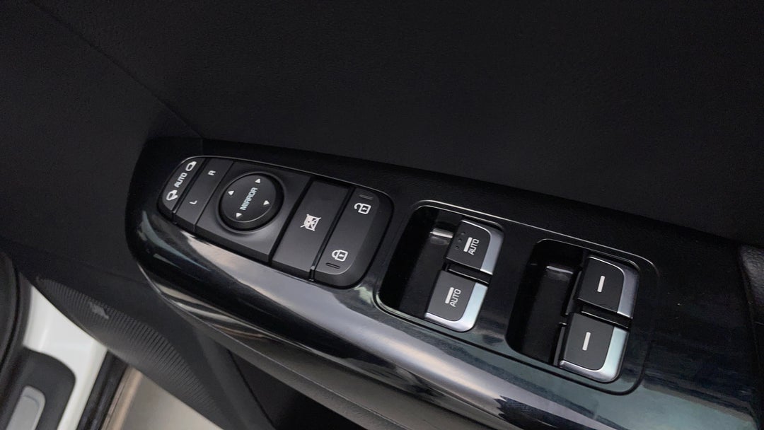Drivers Side Door Panel Controls