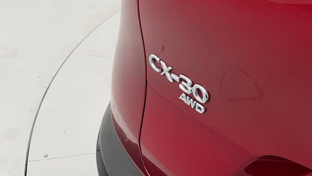 Badge (Boot Left Side)