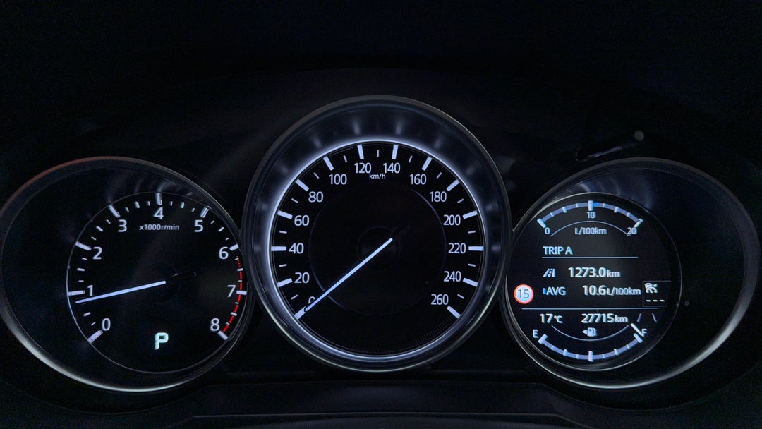 Odometer View