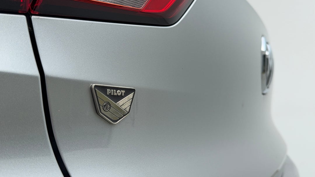 Badge (Boot Left Side)