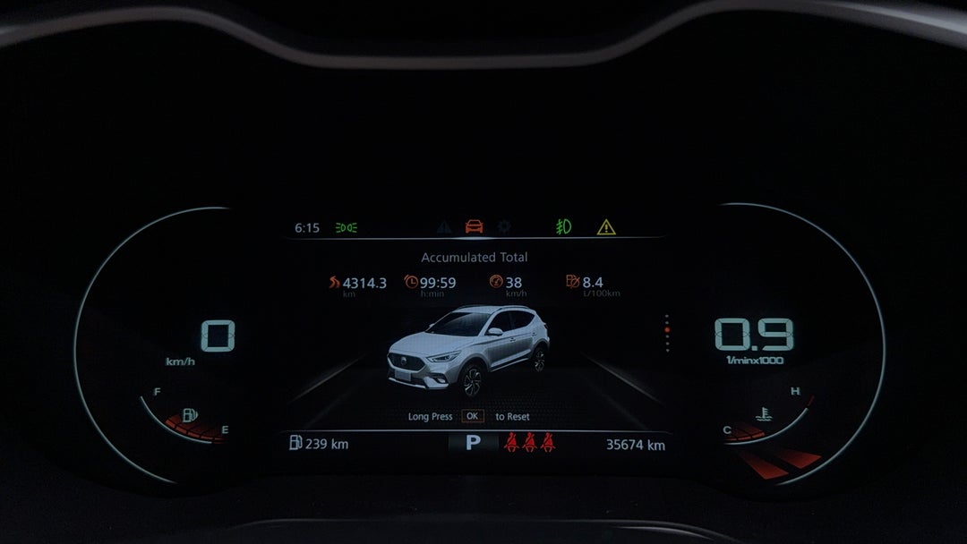 Odometer View