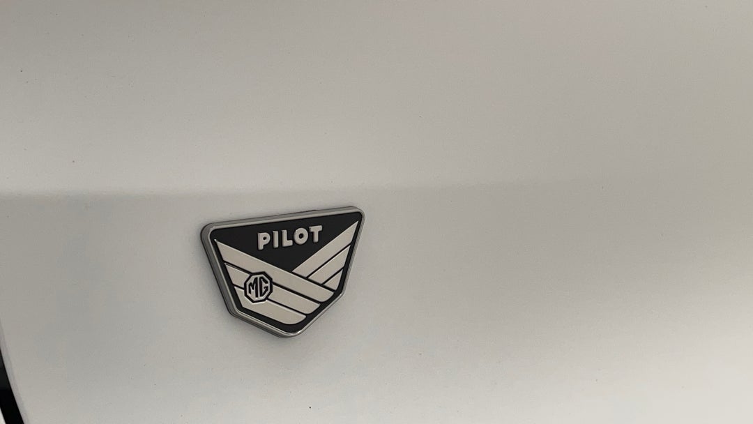 Badge (Boot Left Side)