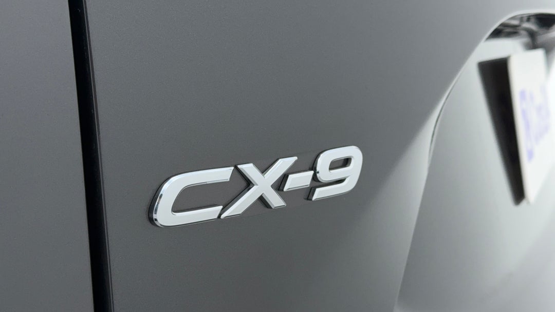 Badge (Boot Left Side)