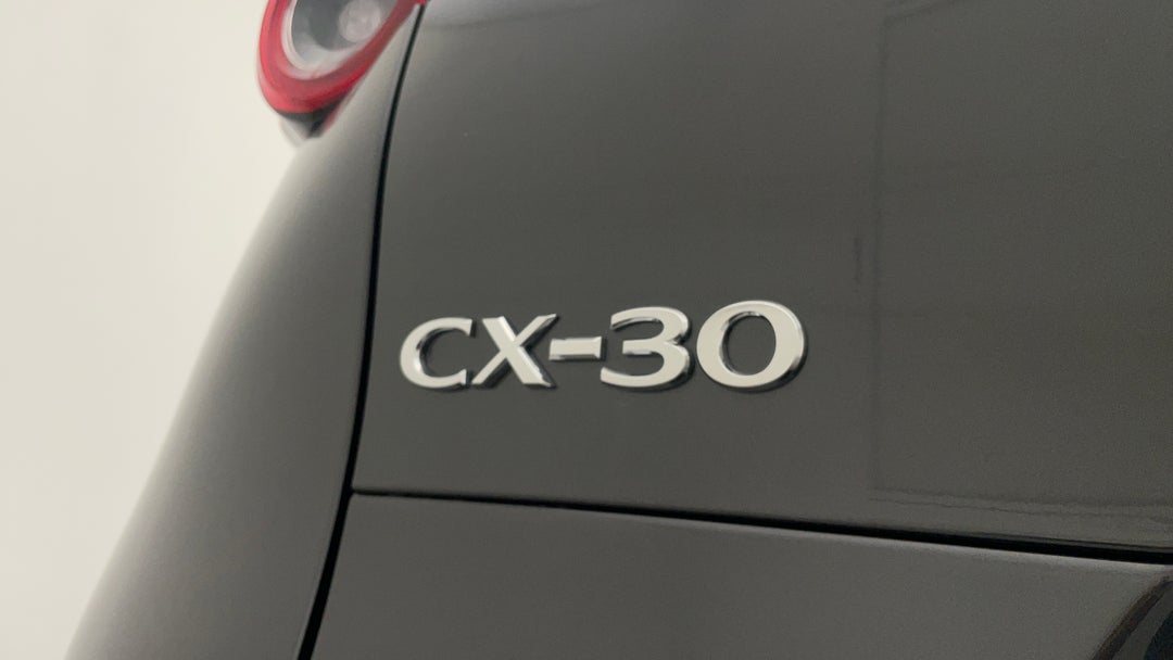 Badge (Boot Left Side)