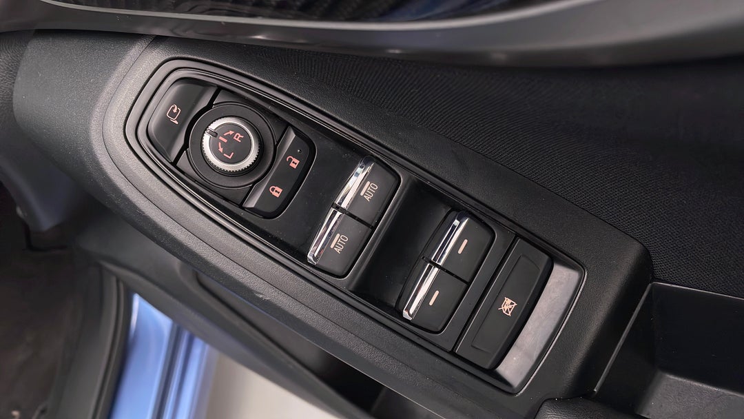 Drivers Side Door Panel Controls