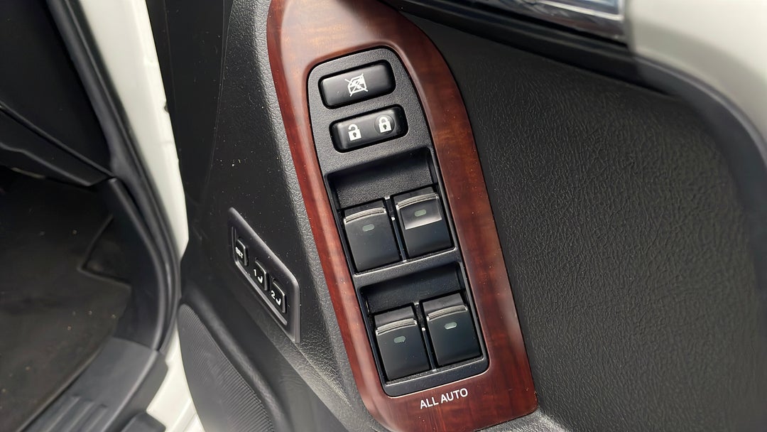 Drivers Side Door Panel Controls
