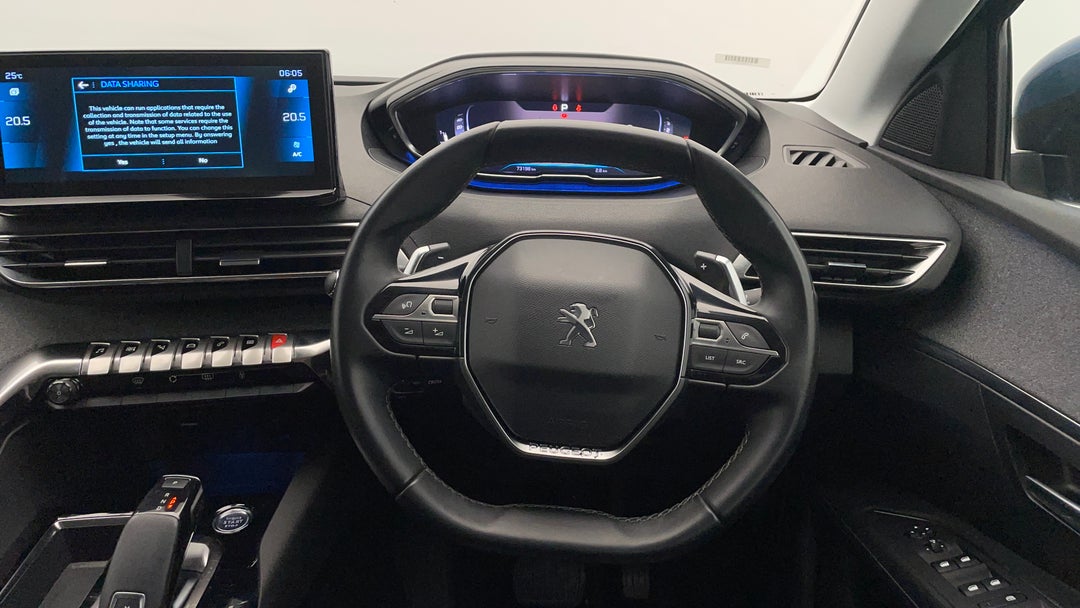 Steering Wheel Close-up