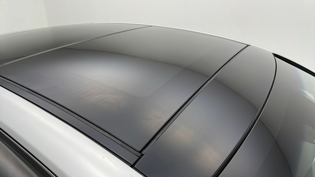 Roof/Sunroof View