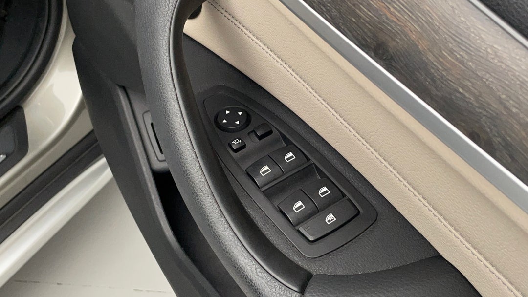 Drivers Side Door Panel Controls